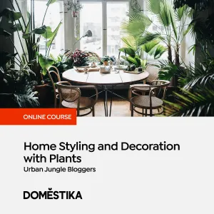 Home Styling and Decoration with Plants